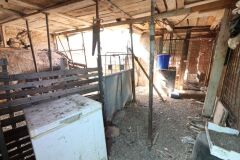 Foto19