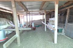 Foto6