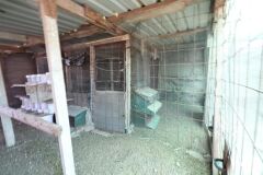 Foto8