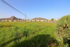 Foto9