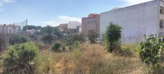 Foto6