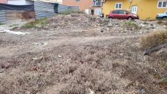 Foto1