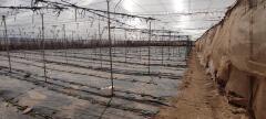 Foto11