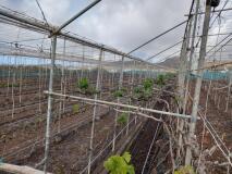 Foto6