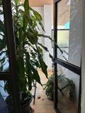 Foto11