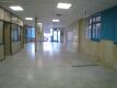 Foto2