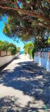 Foto42