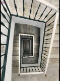 Foto20