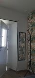Foto41