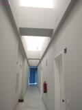 Foto31
