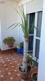 Foto5