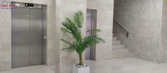 Foto16