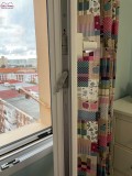 Foto8