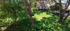 Foto40