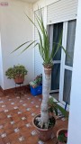 Foto17
