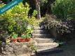 Foto51