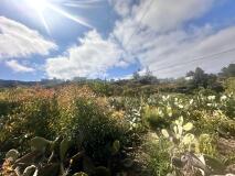 Foto10