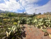 Foto9