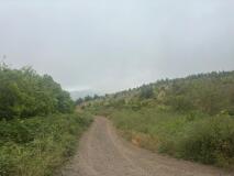 Foto10