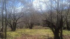 Foto3