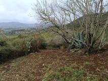 Foto5