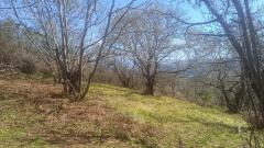 Foto8