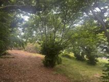 Foto9