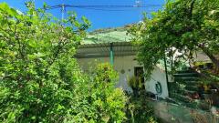 Foto3