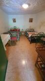 Foto8