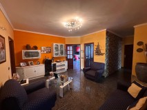 Foto7