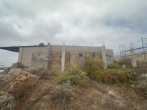 Foto5