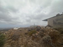 Foto7
