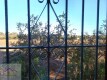 Foto19