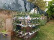Foto29