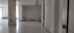 Foto5