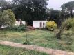 Foto8