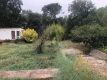 Foto9