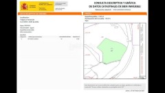 Foto5