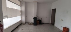 Foto1