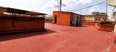 Foto19