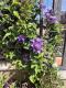 Foto6