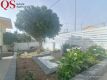 Foto51