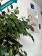 Foto7