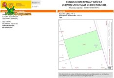 Foto9