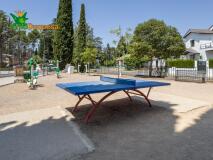Foto41