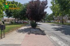 Foto50