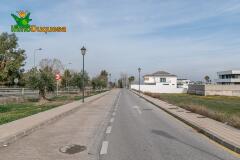 Foto13