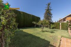Foto5