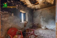 Foto41