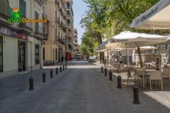 Foto42